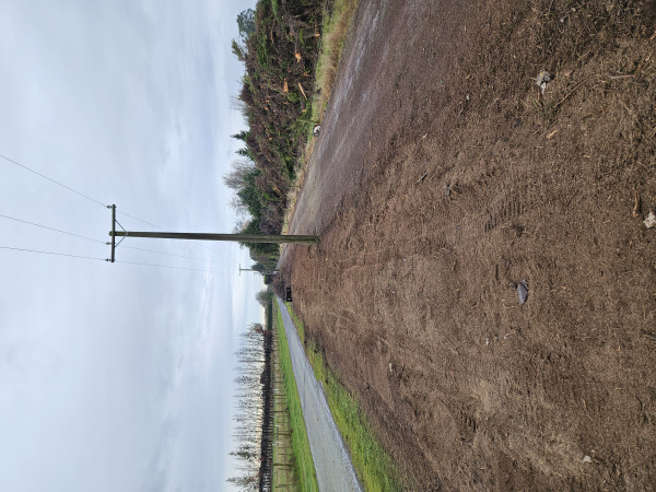 Image-4